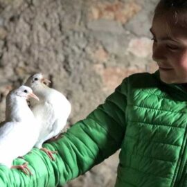 Agriturismo con animali, adatto ai bambini, Garfagnana - Lucca